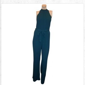 Zara Beautiful Blue Jumpsuit (NWT)